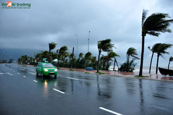http://media.cpeco.vn/public/media/media/picture/10/mua[-]bao.jpg